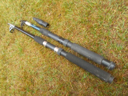 Telescopic fishing all rounder